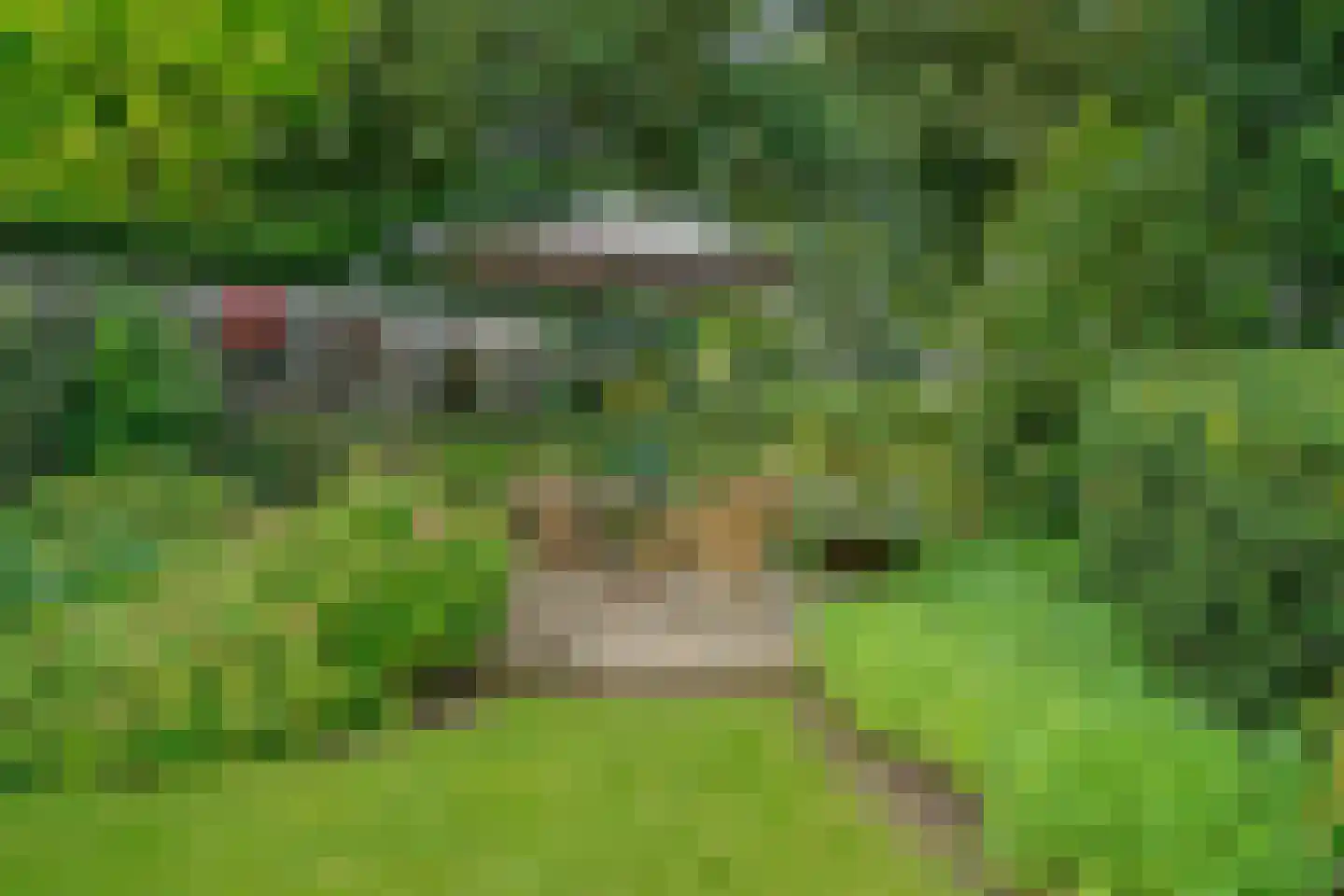 Kievit 36 Castricum thumbnail 52