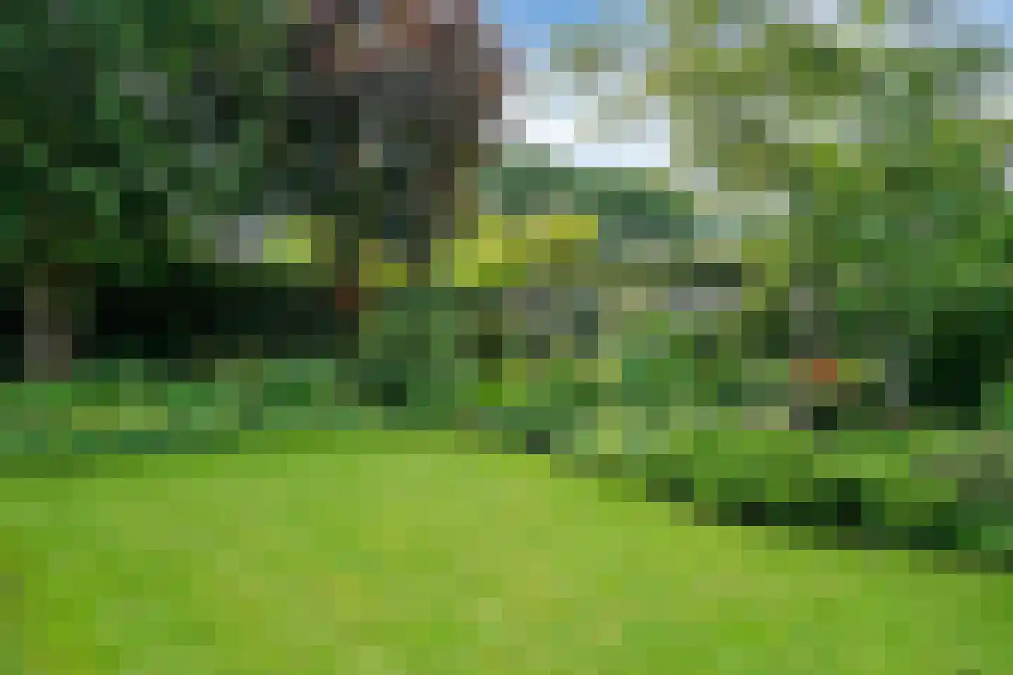 Kievit 36 Castricum thumbnail 53