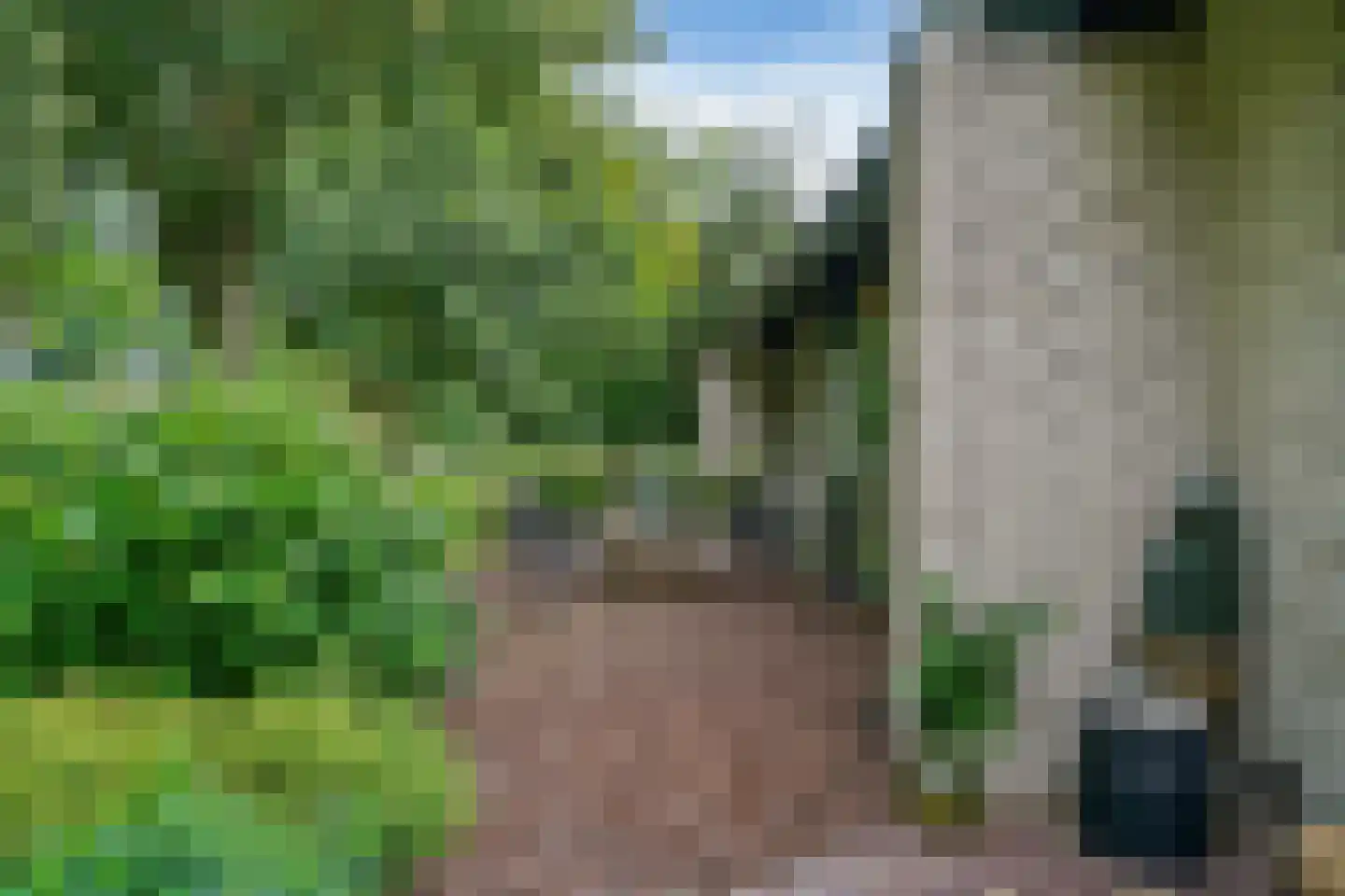 Kievit 36 Castricum thumbnail 54