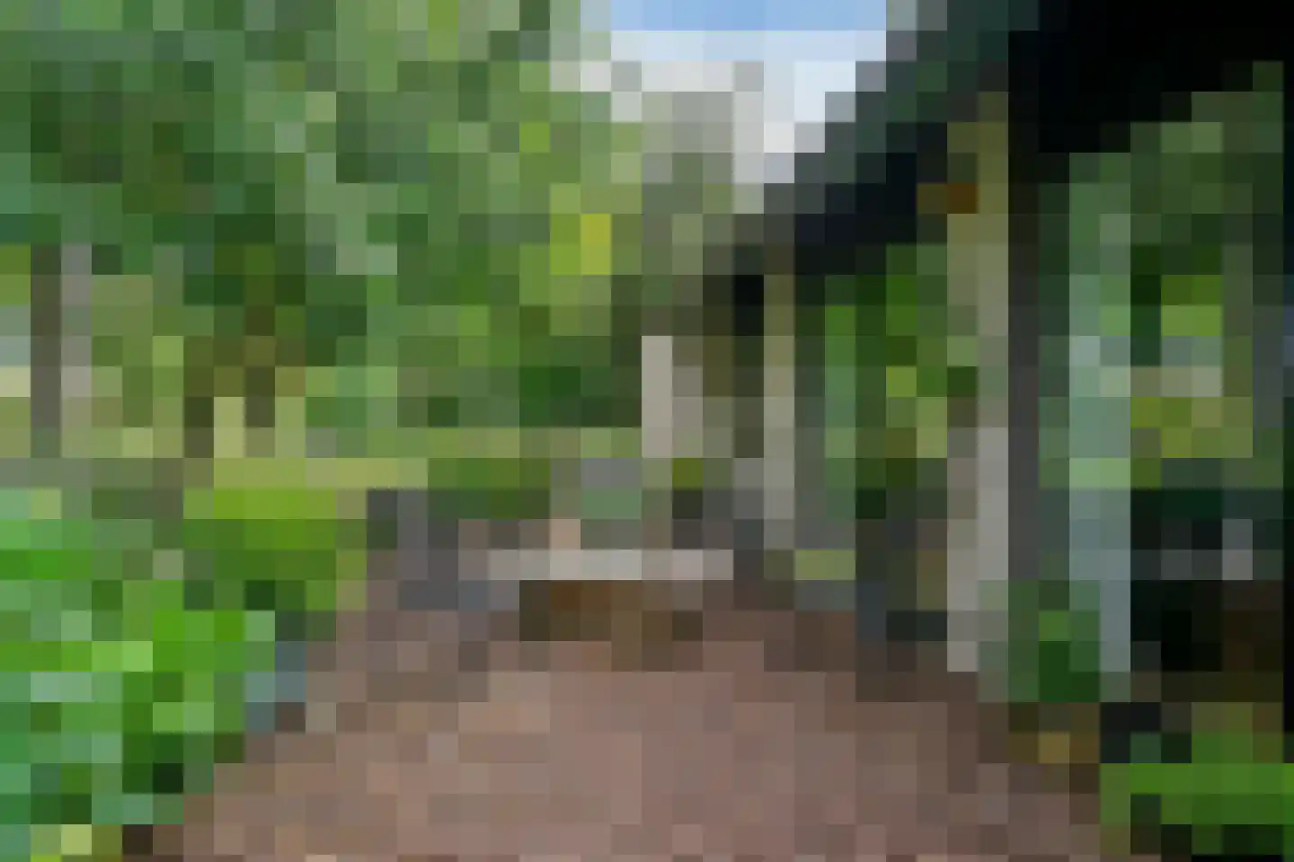 Kievit 36 Castricum thumbnail 55