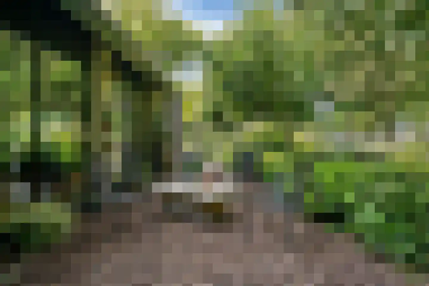 Kievit 36 Castricum thumbnail 56