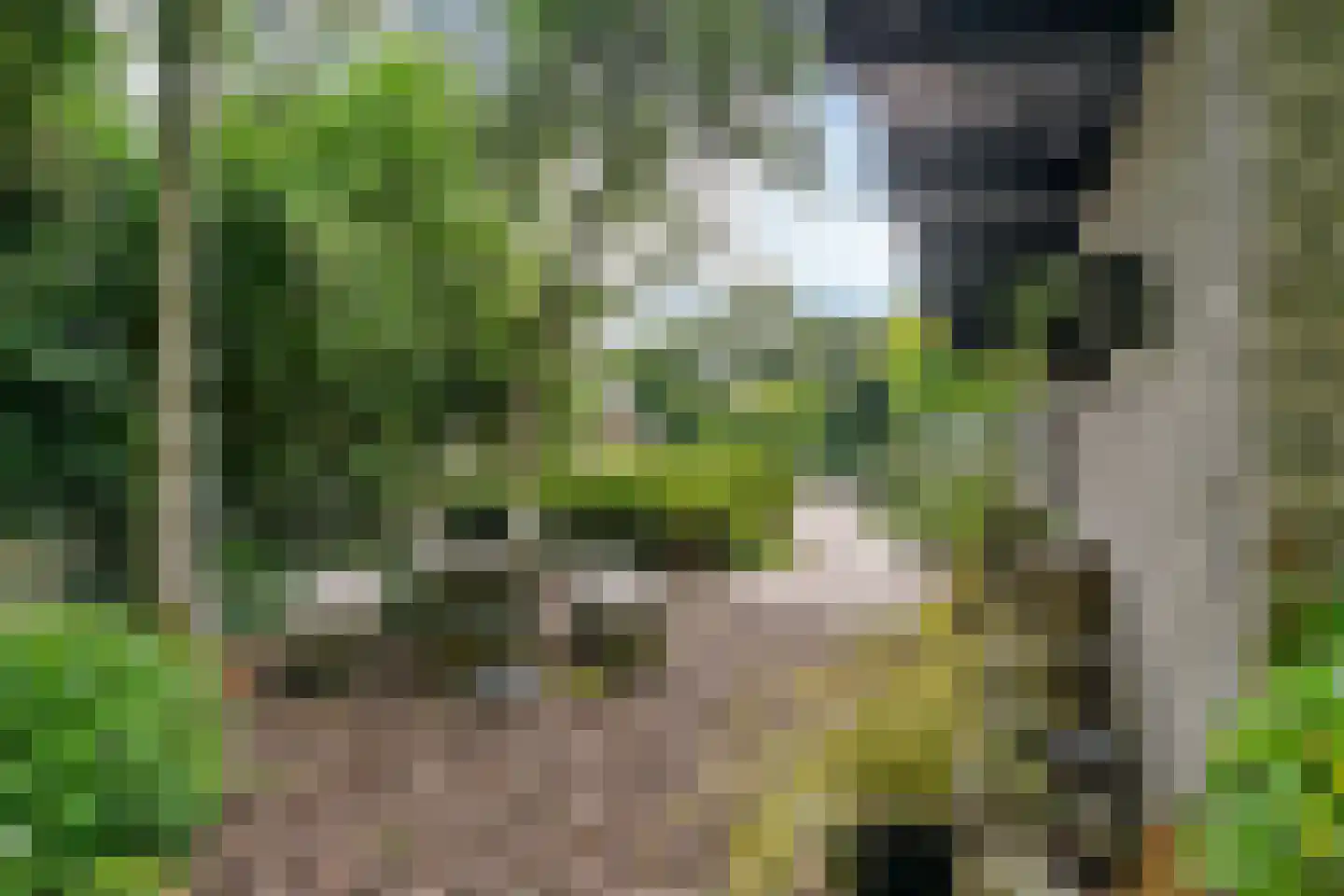 Kievit 36 Castricum thumbnail 59