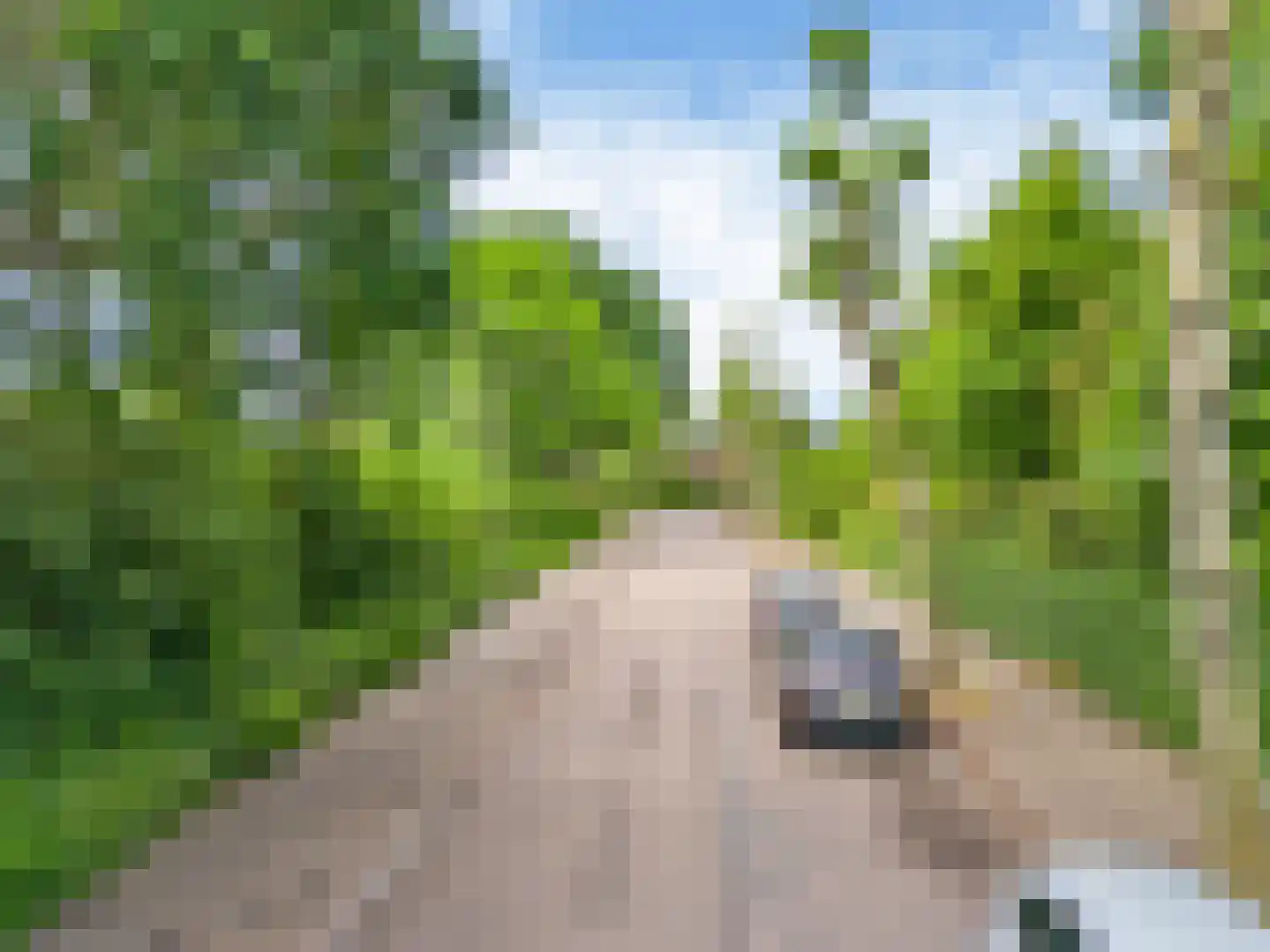 Kievit 36 Castricum thumbnail 62