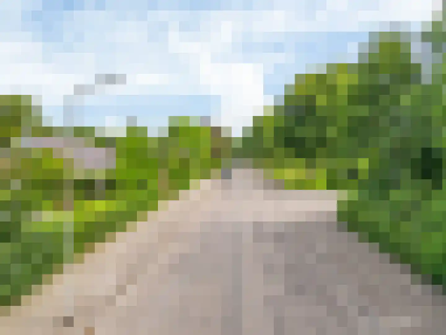 Kievit 36 Castricum thumbnail 64