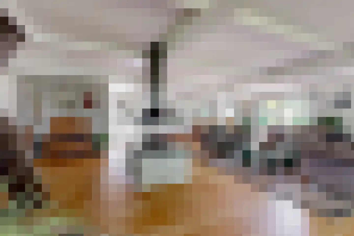 Kievit 36 Castricum thumbnail 7