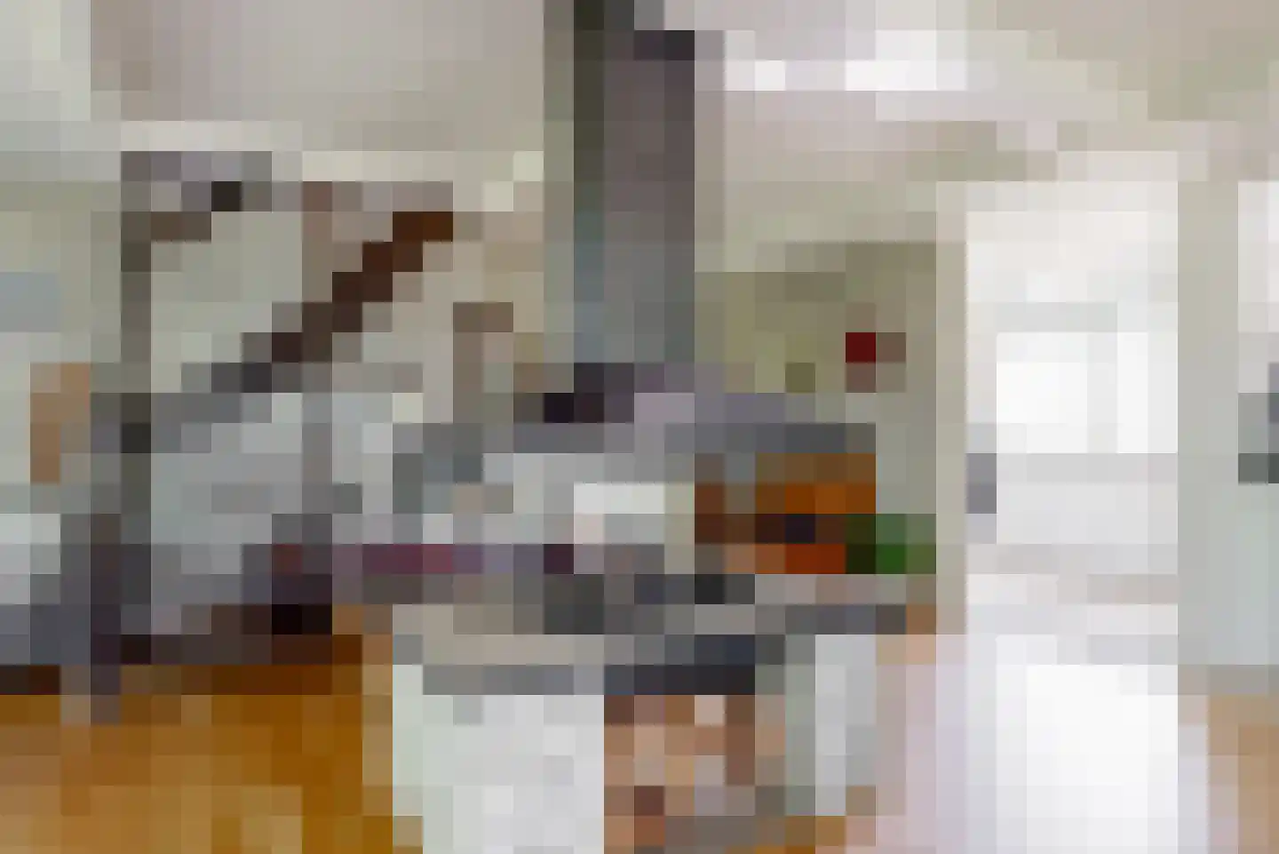 Kievit 36 Castricum thumbnail 8