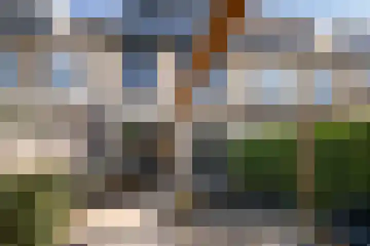 Kievit 37 's-Gravenzande thumbnail 14