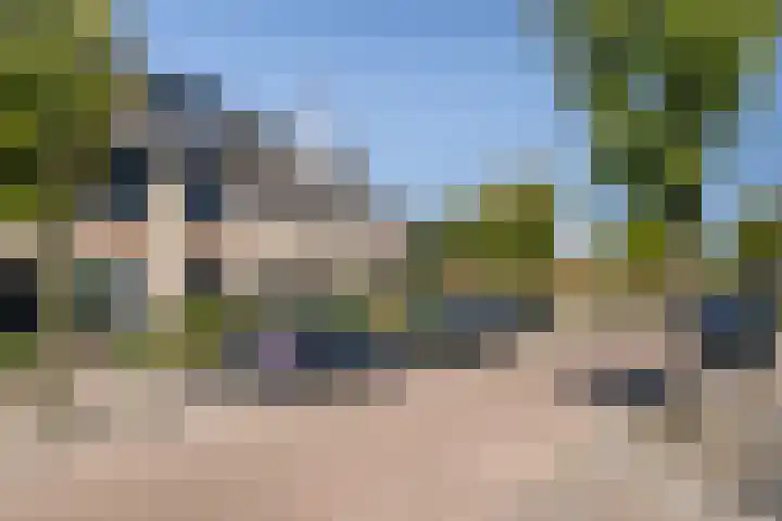 Kievit 37 's-Gravenzande thumbnail 7