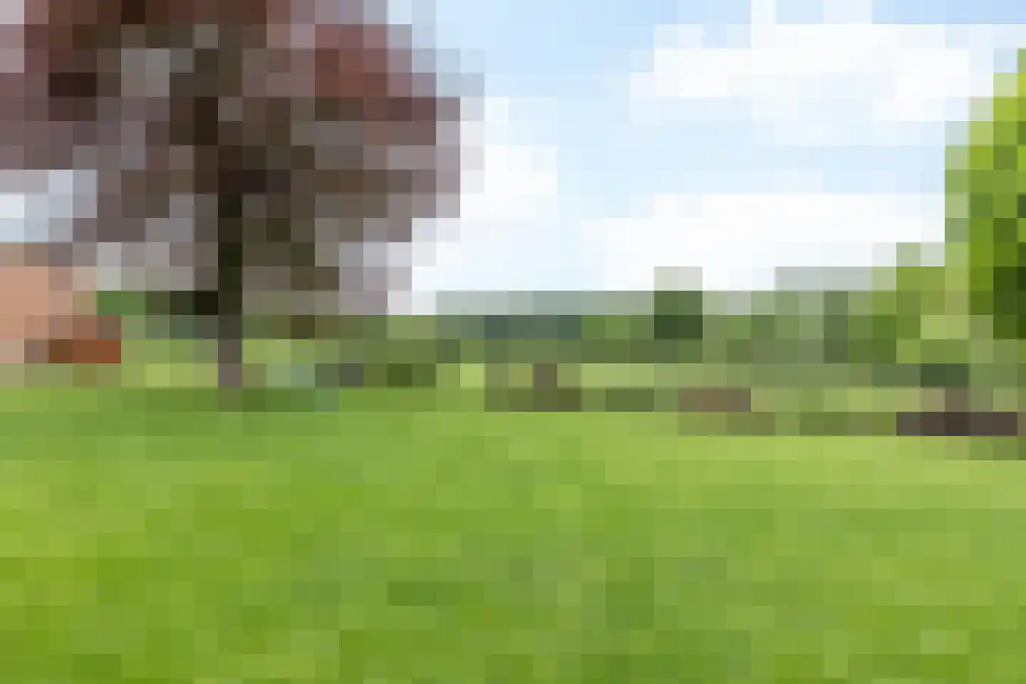 Kievit 4 Bocholtz thumbnail 28