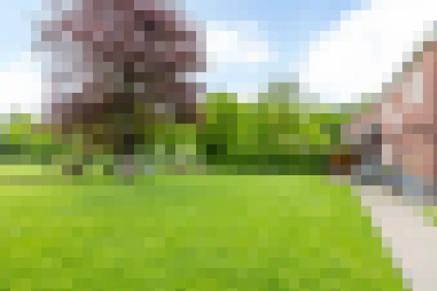 Kievit 4 Bocholtz thumbnail 29