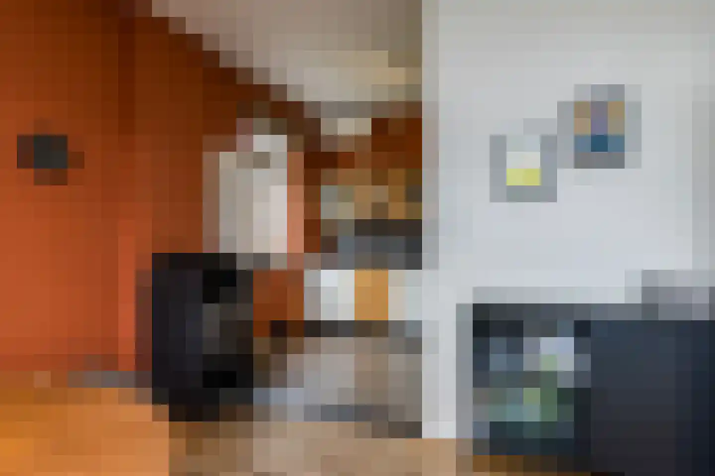 Kievit 4 Bocholtz thumbnail 7
