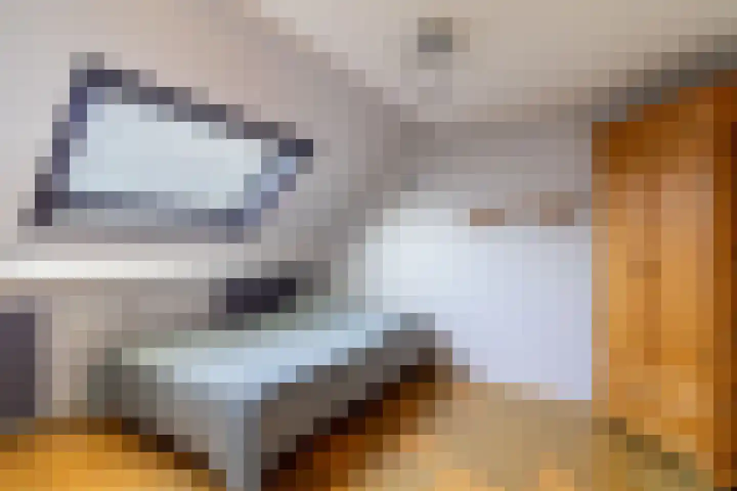 Kievit 4 Bunschoten-Spakenburg thumbnail 23