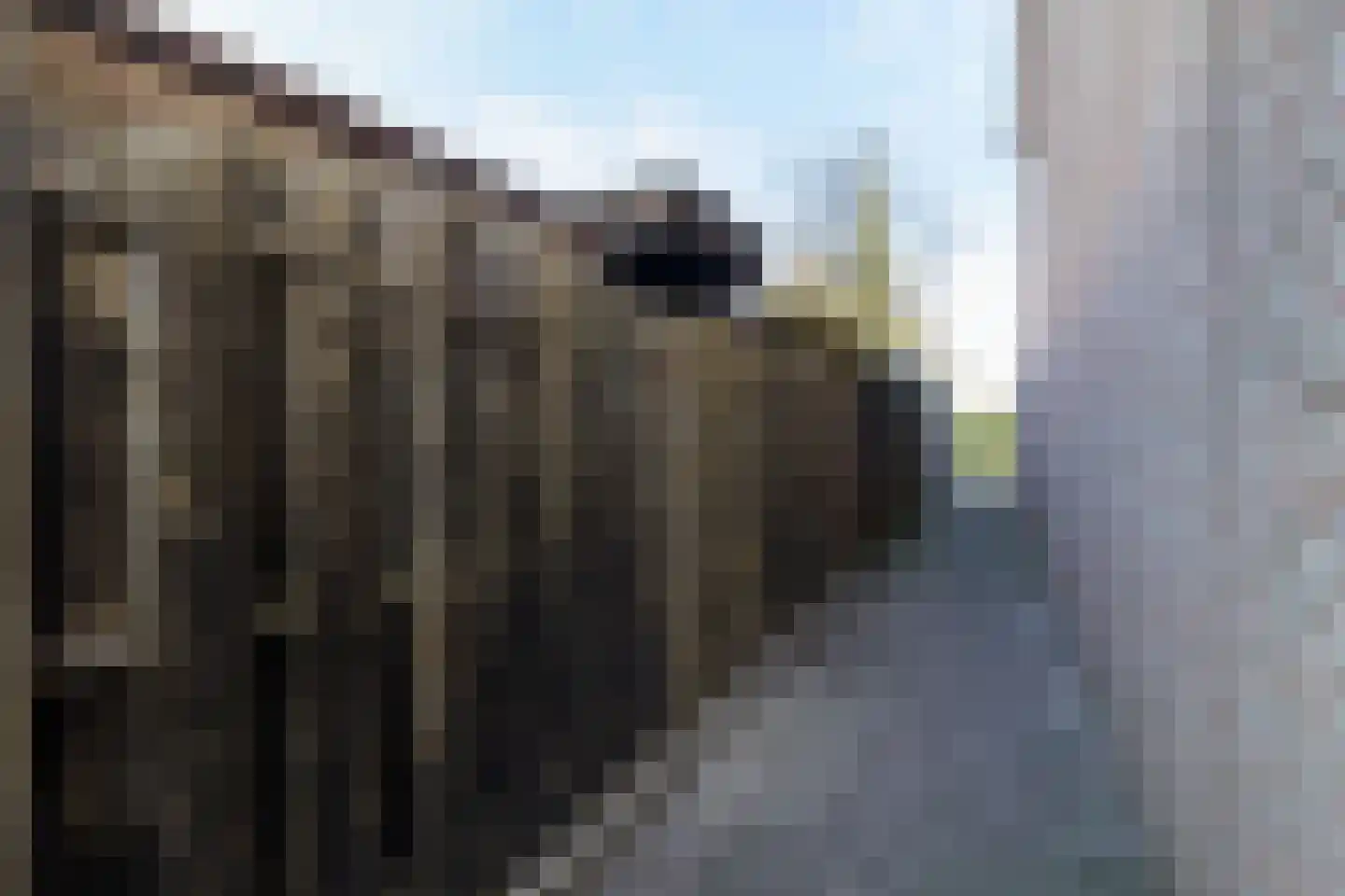 Kievit 4 Bunschoten-Spakenburg thumbnail 31