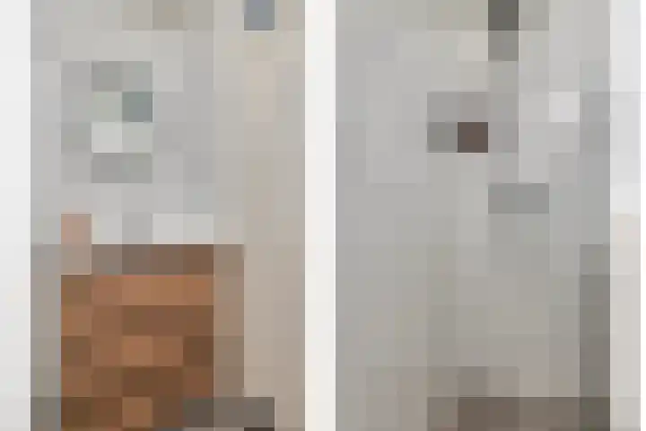 Kievit 4 De Lier thumbnail 10