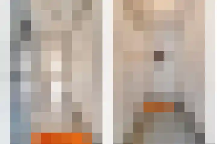 Kievit 4 De Lier thumbnail 11