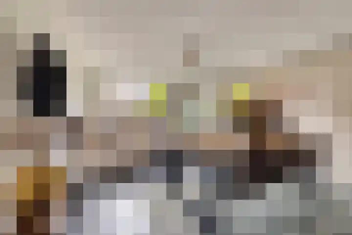 Kievit 4 De Lier foto 2