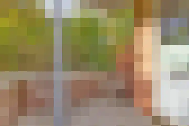 Kievit 4 De Lier foto 3