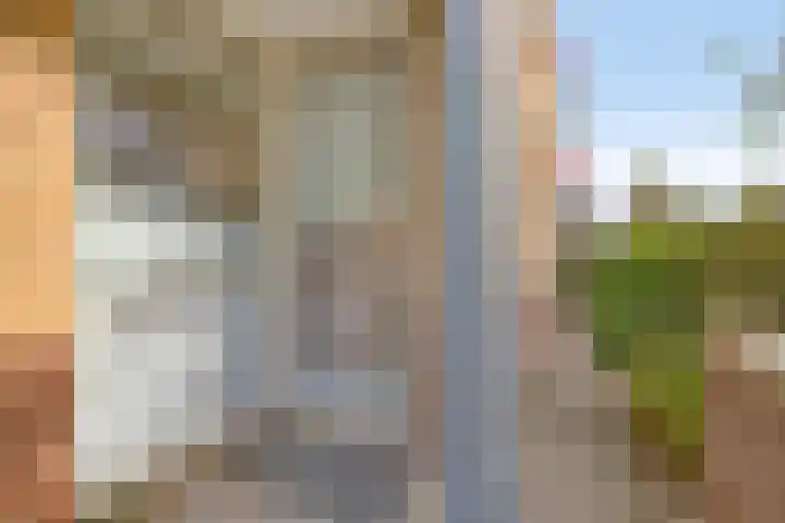 Kievit 4 De Lier thumbnail 4