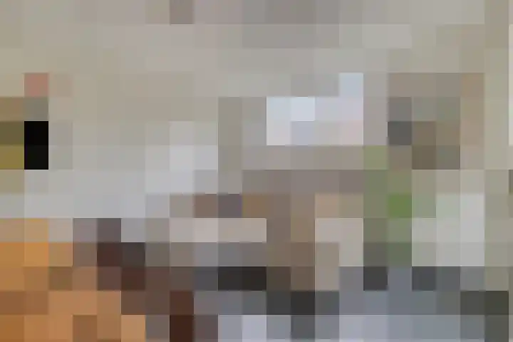 Kievit 4 De Lier thumbnail 5