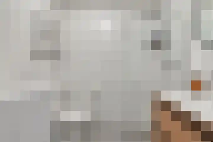 Kievit 4 De Lier thumbnail 9