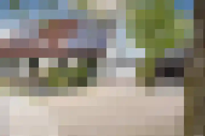 Kievit 4 Grootegast