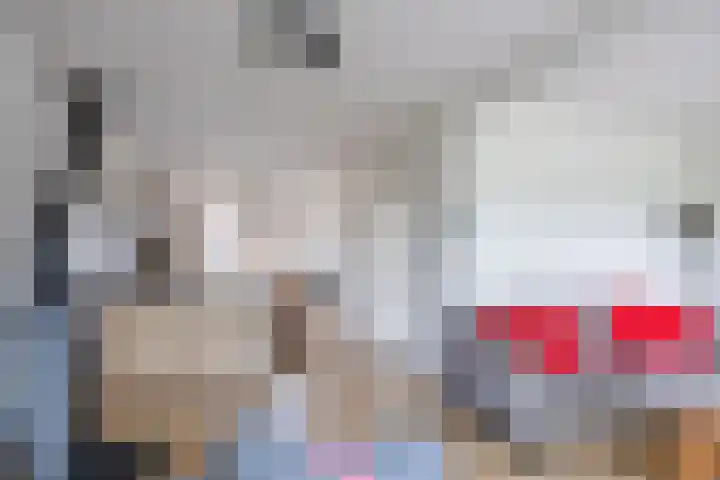 Kievit 4 Grootegast thumbnail 14