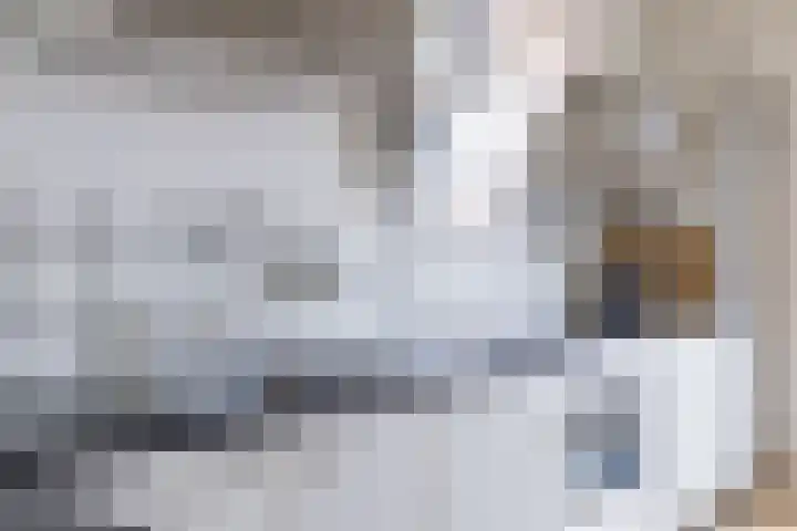 Kievit 4 Grootegast thumbnail 19