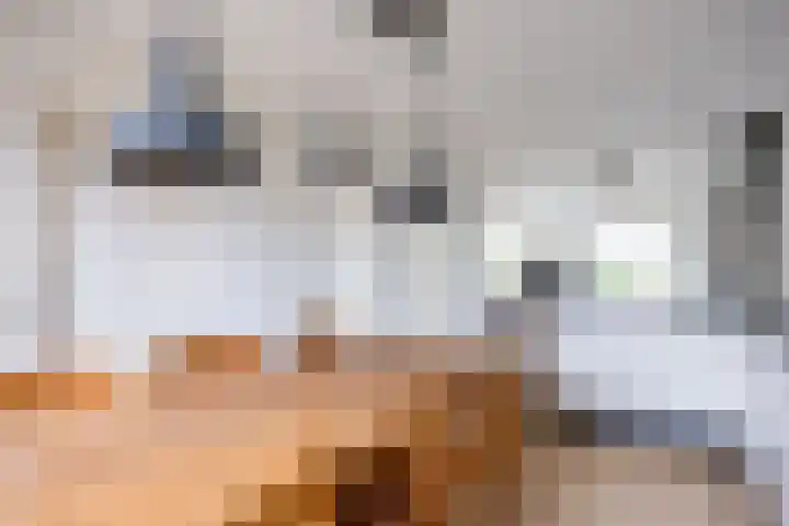 Kievit 4 Grootegast thumbnail 22