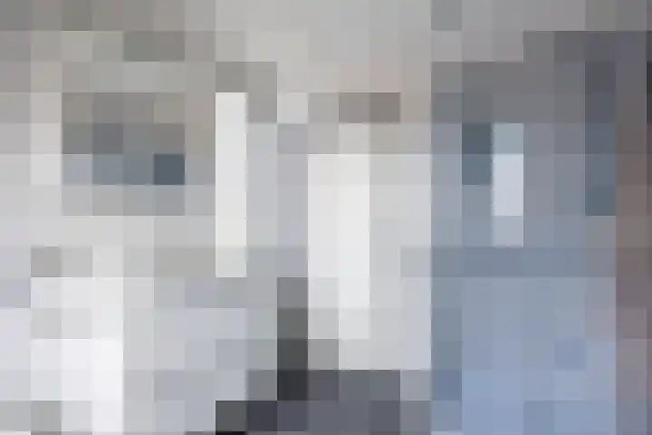 Kievit 4 Grootegast thumbnail 35