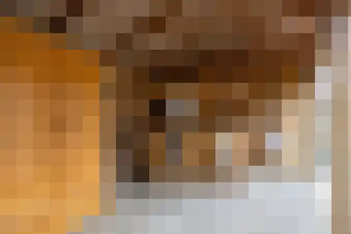 Kievit 4 Grootegast thumbnail 45