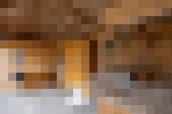 Kievit 4 Grootegast thumbnail 46