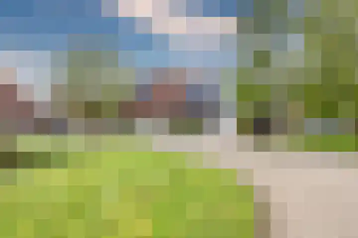 Kievit 4 Grootegast thumbnail 5