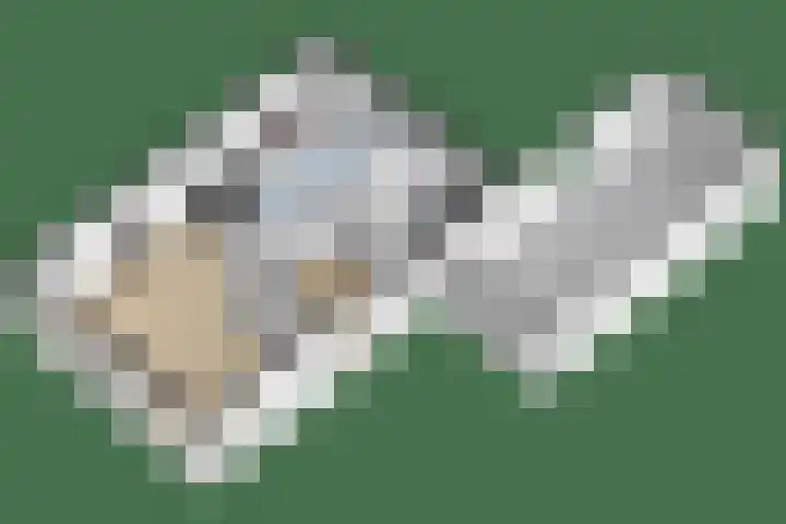 Kievit 4 Grootegast thumbnail 51