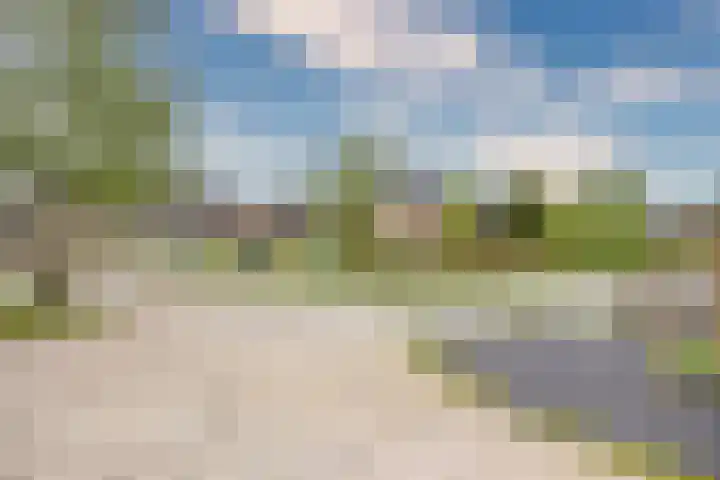 Kievit 4 Grootegast thumbnail 8