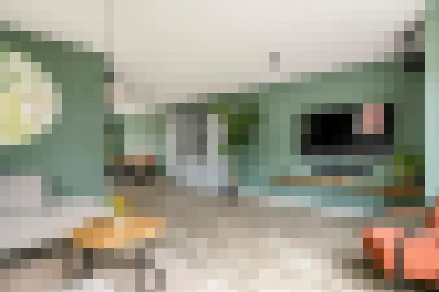Kievit 4 Maurik thumbnail 11