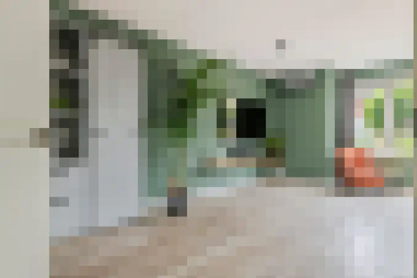 Kievit 4 Maurik thumbnail 13