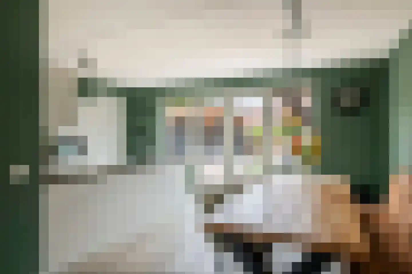 Kievit 4 Maurik thumbnail 17