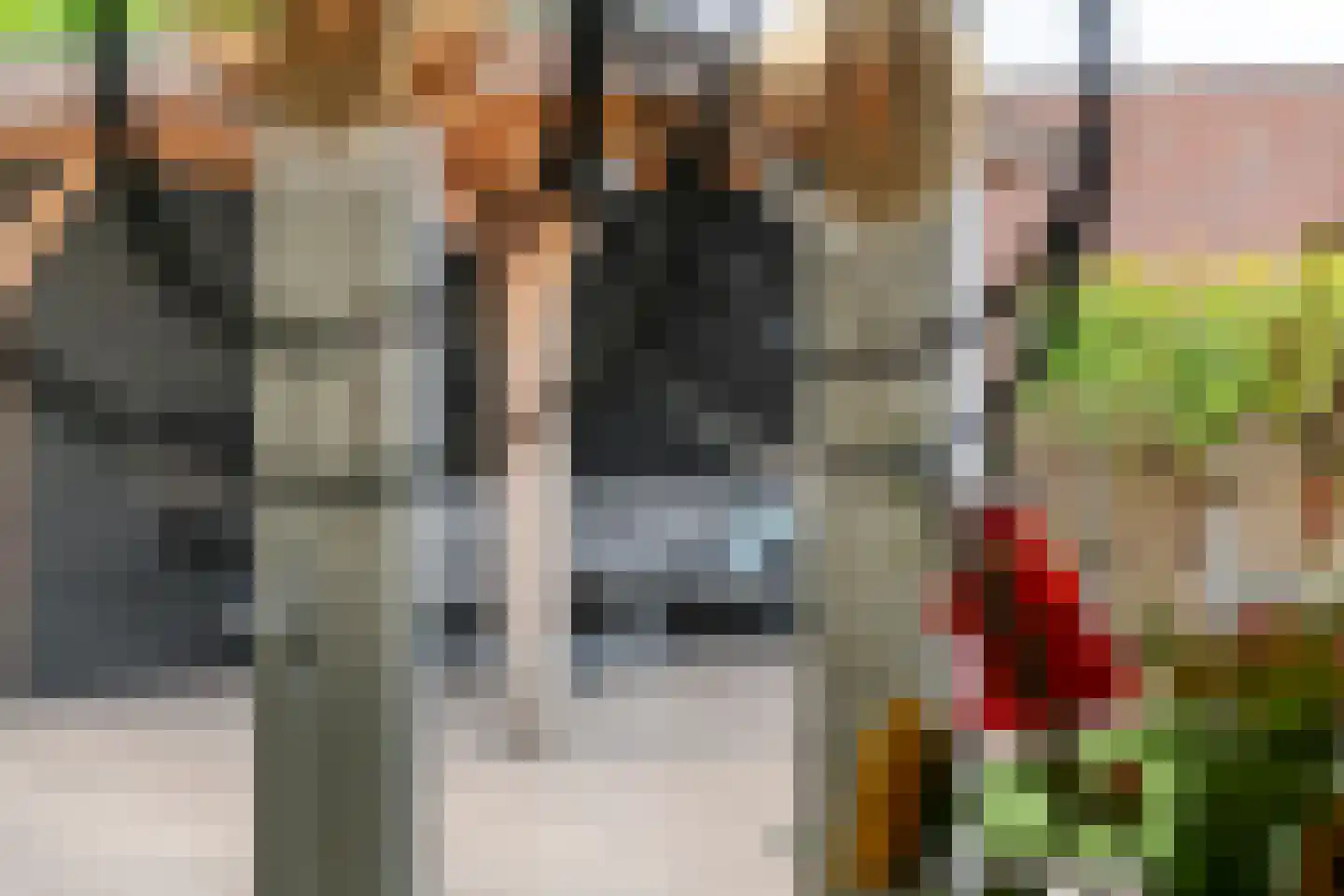 Kievit 4 Maurik thumbnail 18