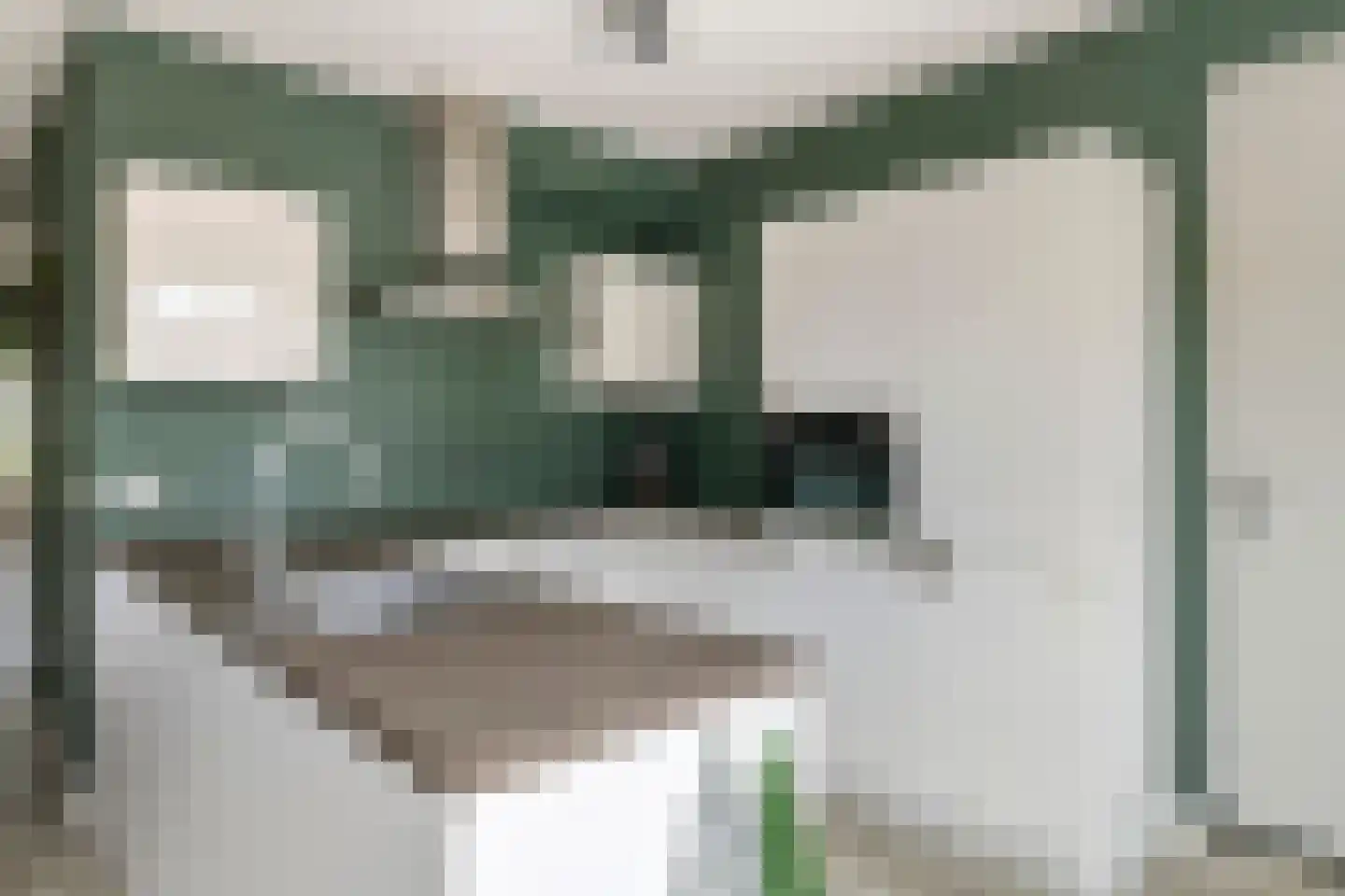 Kievit 4 Maurik thumbnail 19