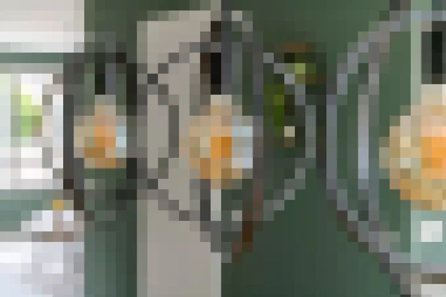 Kievit 4 Maurik thumbnail 25