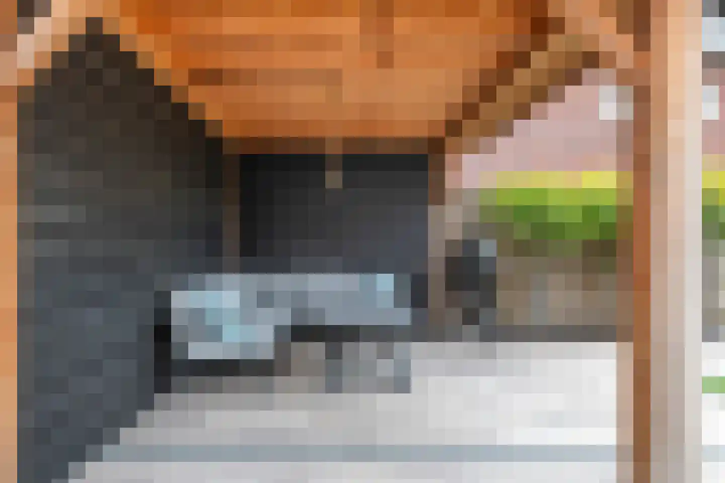 Kievit 4 Maurik thumbnail 33
