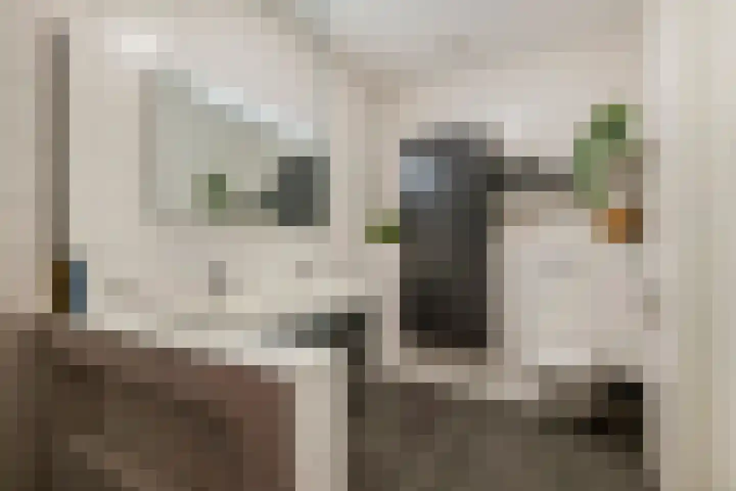 Kievit 4 Maurik thumbnail 4