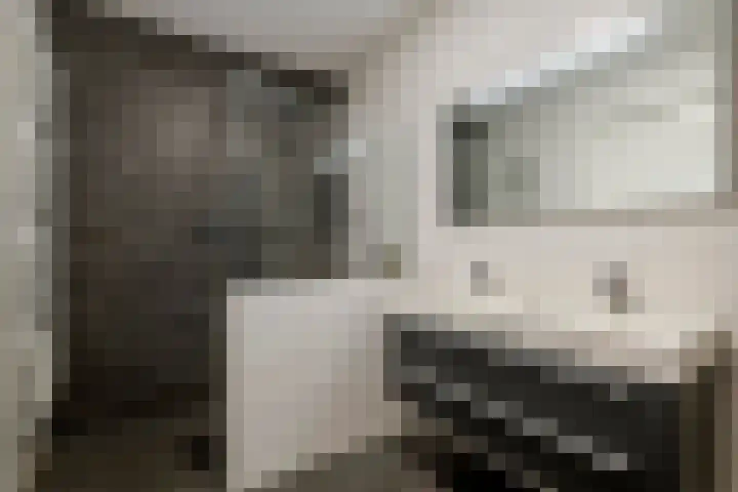 Kievit 4 Maurik thumbnail 46