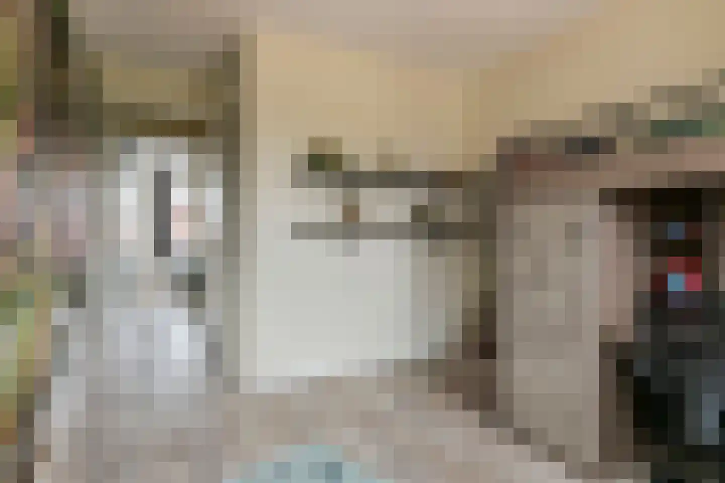 Kievit 4 Maurik thumbnail 50