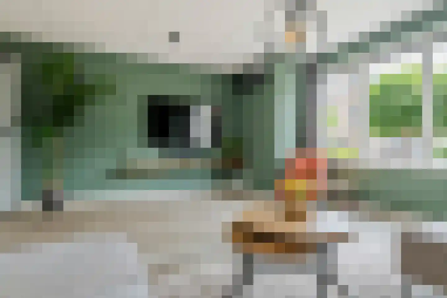 Kievit 4 Maurik thumbnail 6