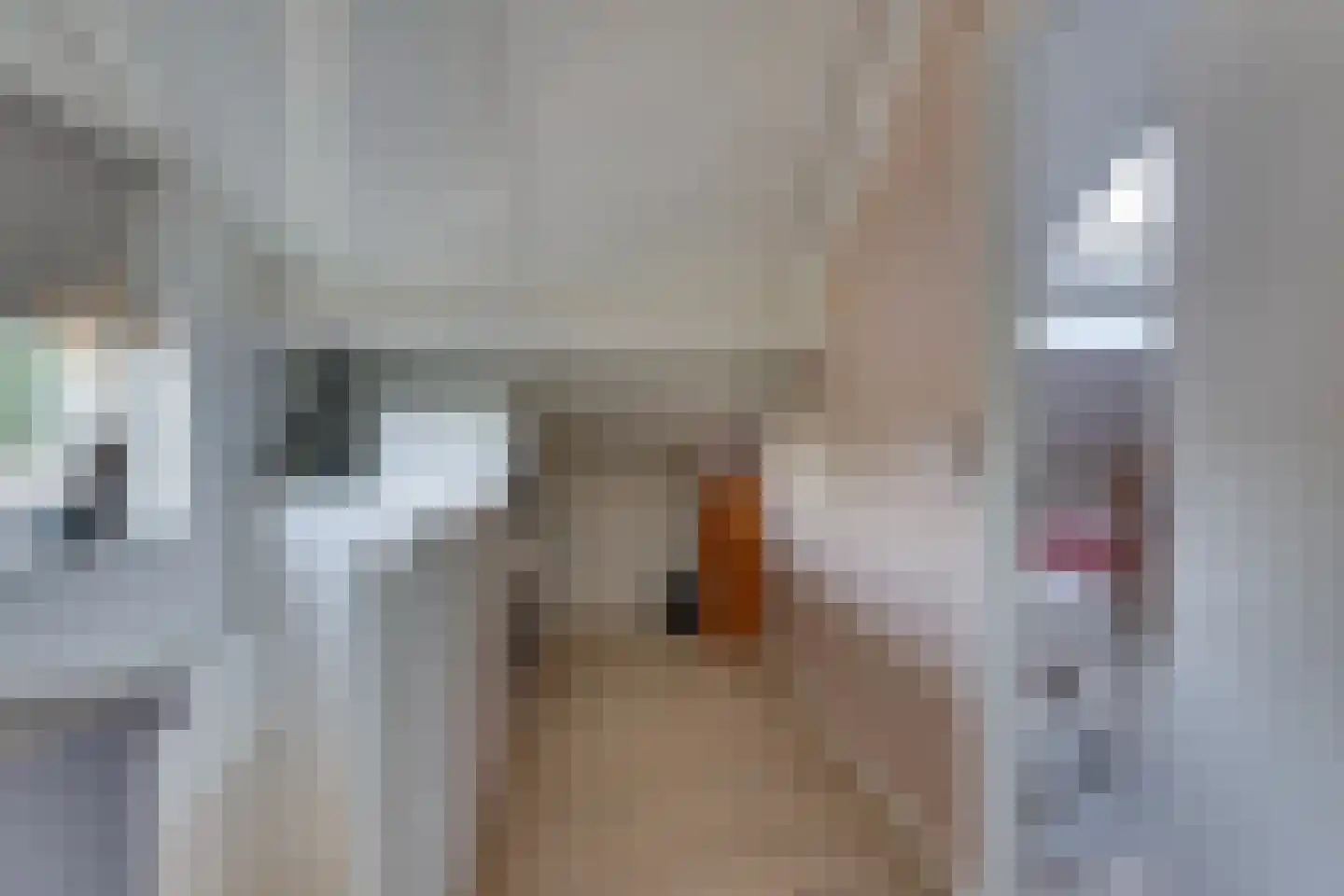 Kievit 43 Rijssen thumbnail 31