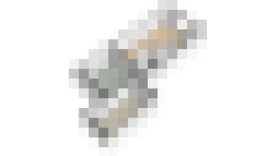 Kievit 43 Rijssen thumbnail 43