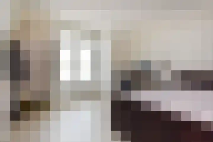 Kievit 45 Sprang-Capelle thumbnail 10