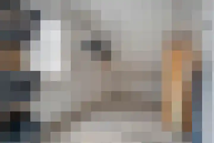 Kievit 45 Sprang-Capelle thumbnail 11