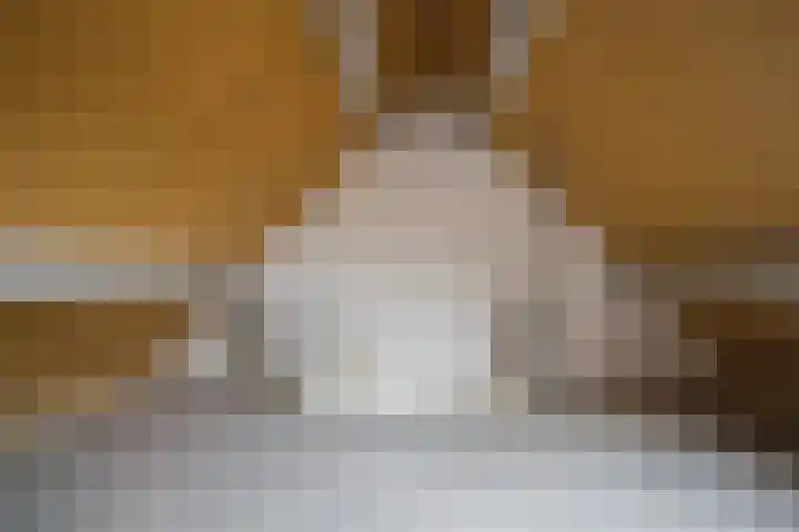 Kievit 45 Sprang-Capelle thumbnail 15